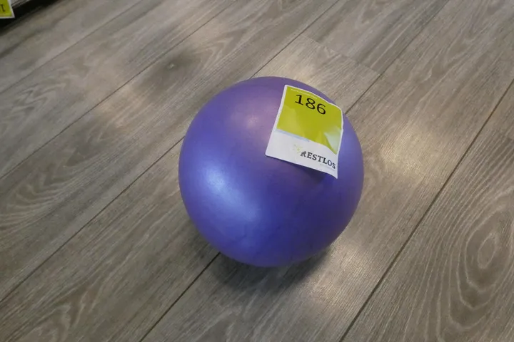 Gymnastikball